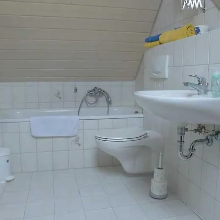 Ferieninsel An Der Dreisam * 科齐扎尔滕