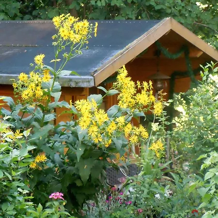 Ferieninsel An Der Dreisam Kirchzarten